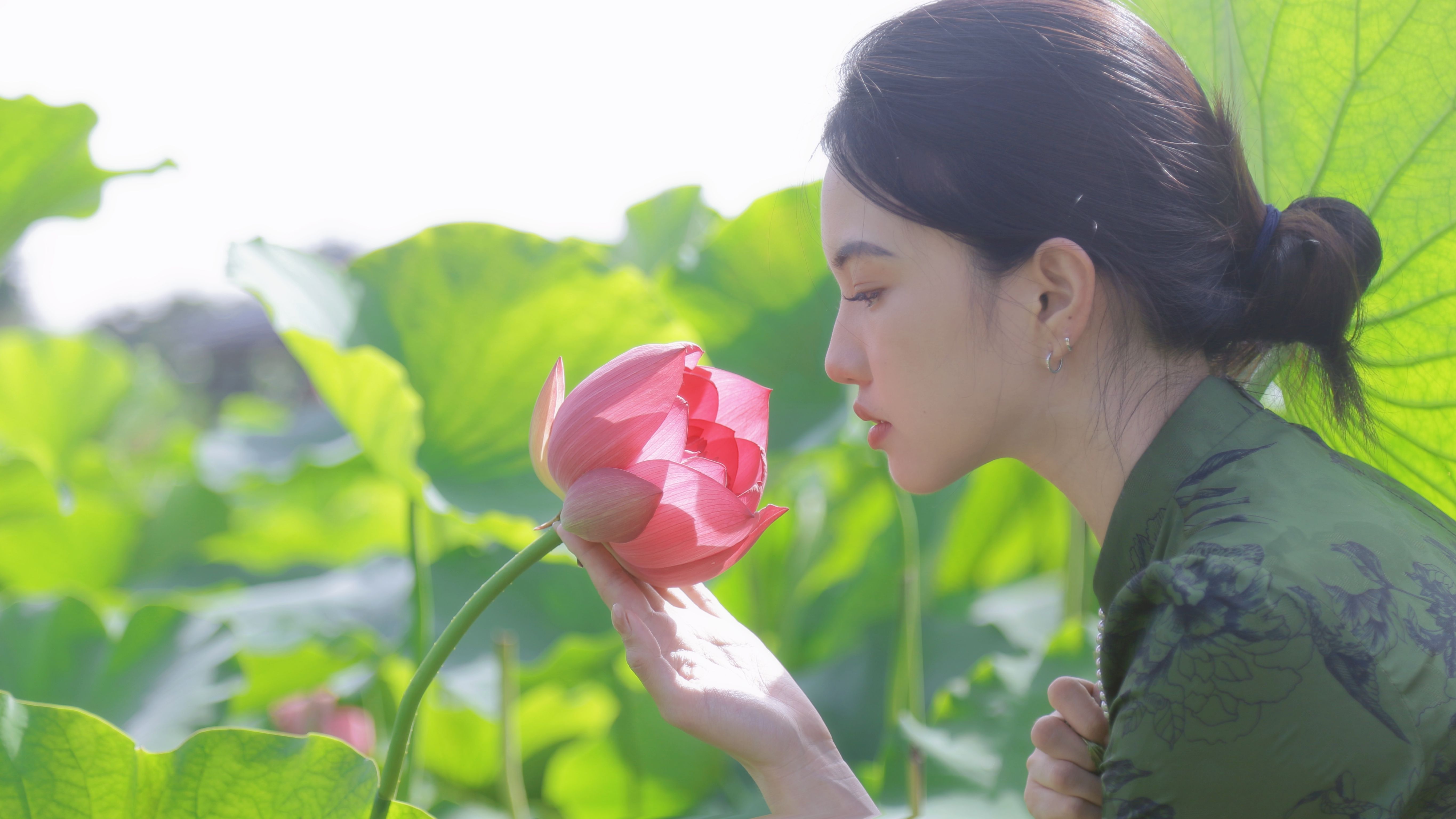 【组图】“荷”你相约  ​邓坝…